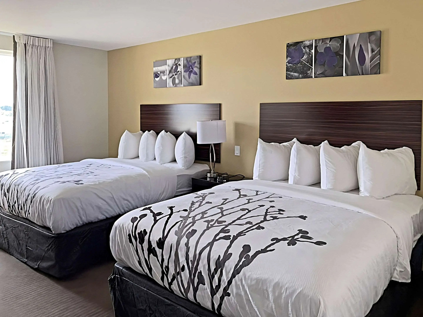 Sleep Inn North - Central York