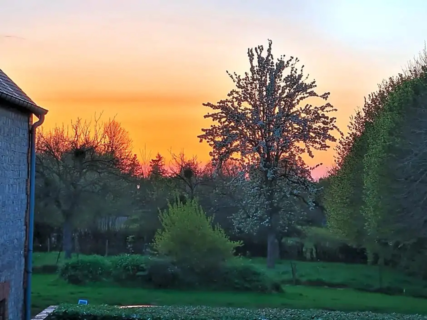 Domaine De La Cour Vautier