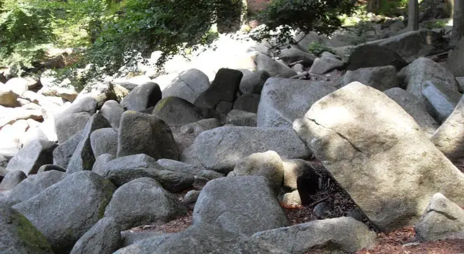 Gasthaus-Pension Felsenmeer