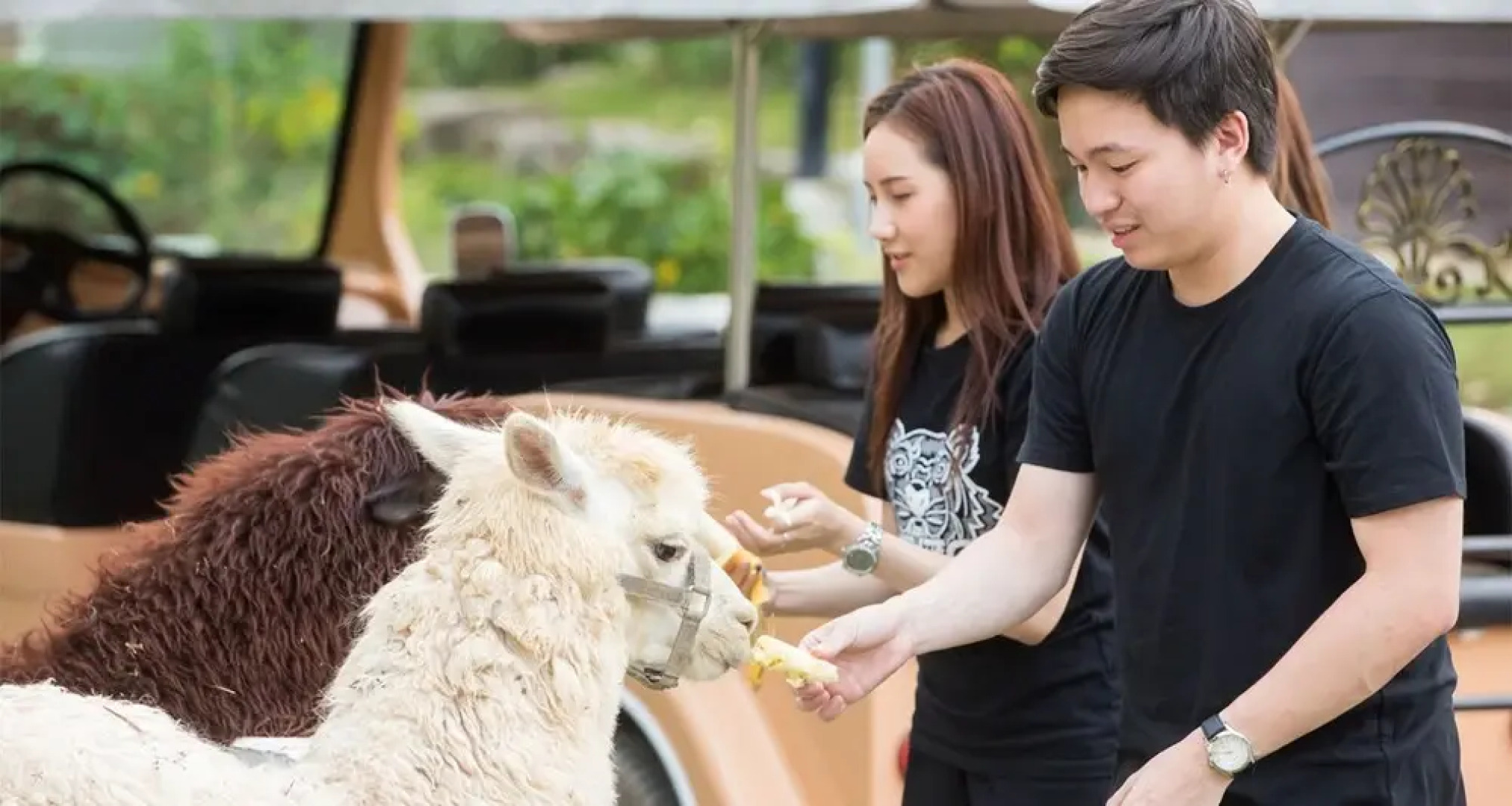 Resort Huangchui Baan Phu Khao