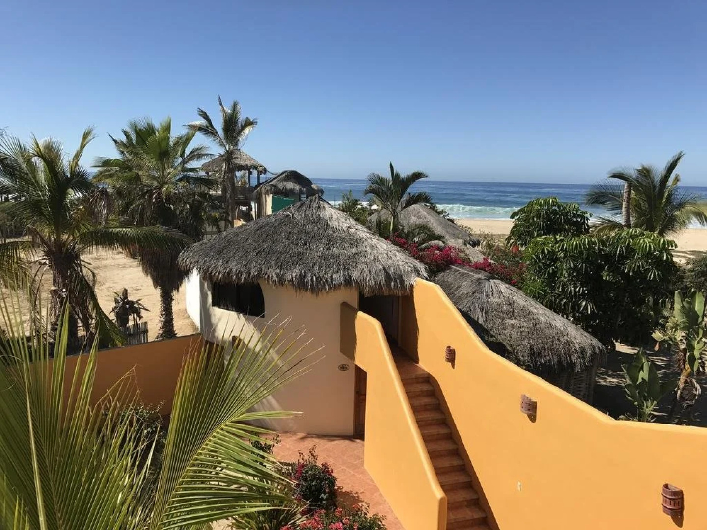 Las Palmas Tropicales