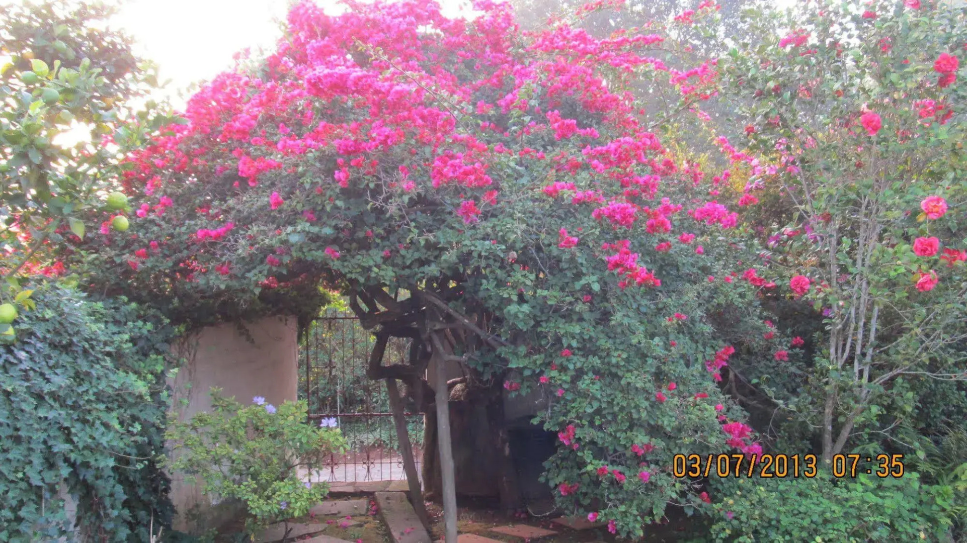 The Jays Guest House