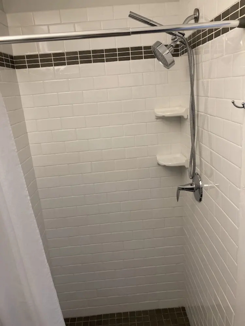 Prince Albert Provincetown