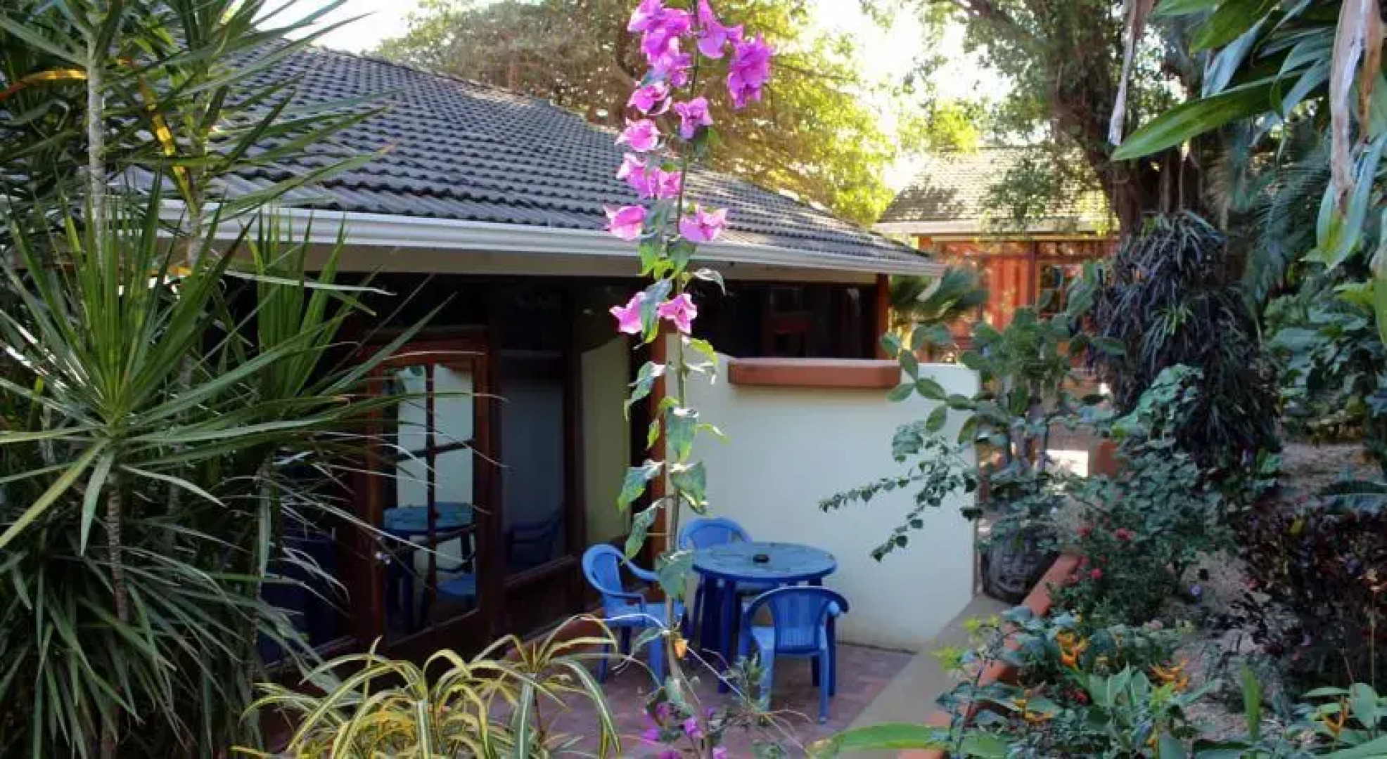 Tamarindo Surf Camp Percy