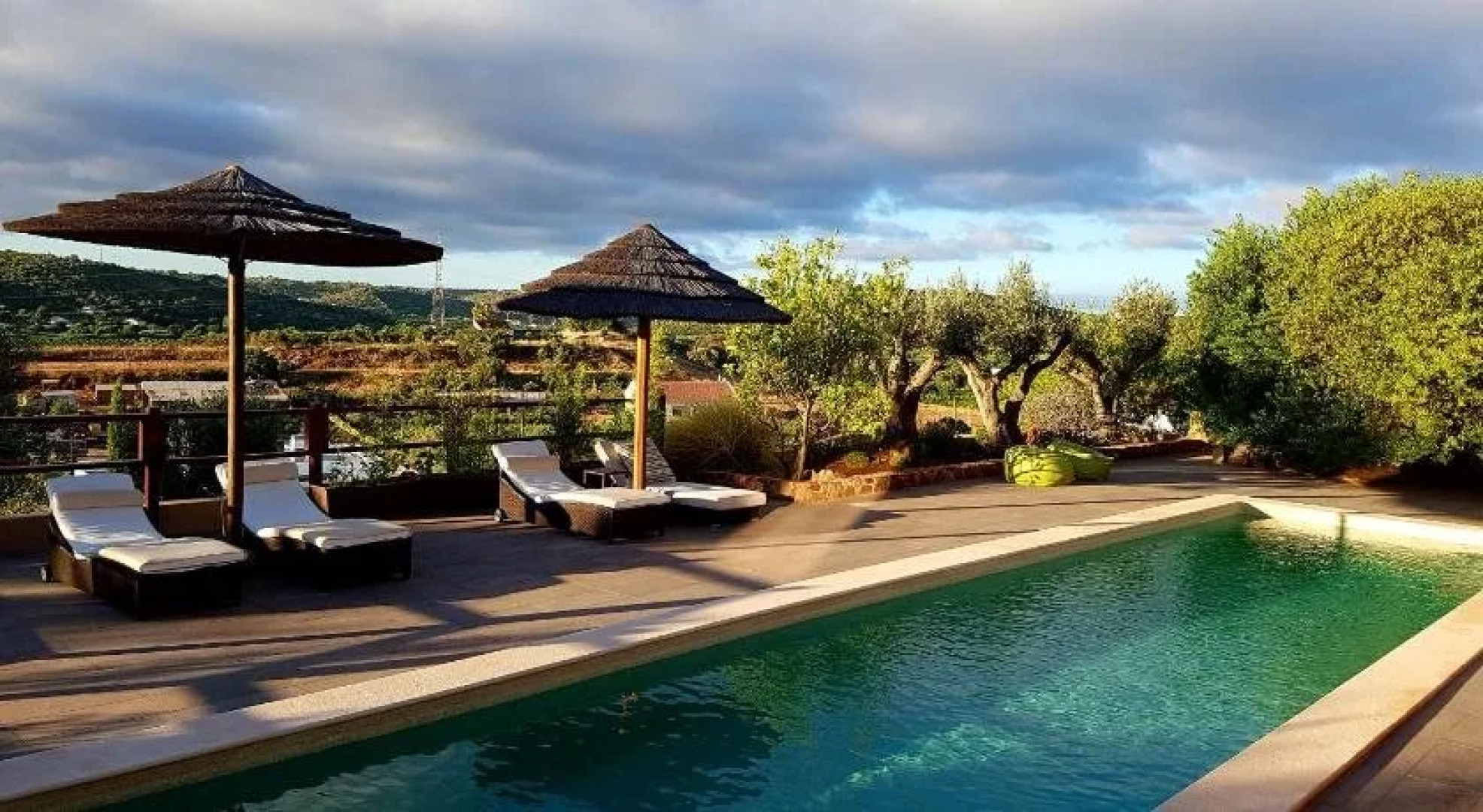 Gato Preto de Silves