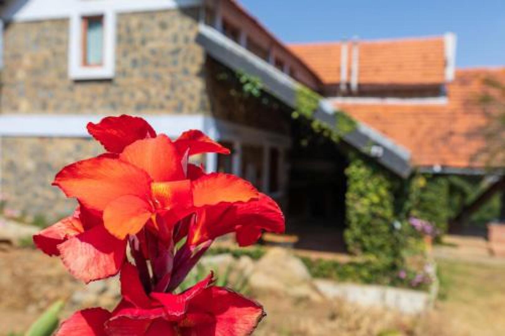 Wild Walkers by Vista Rooms