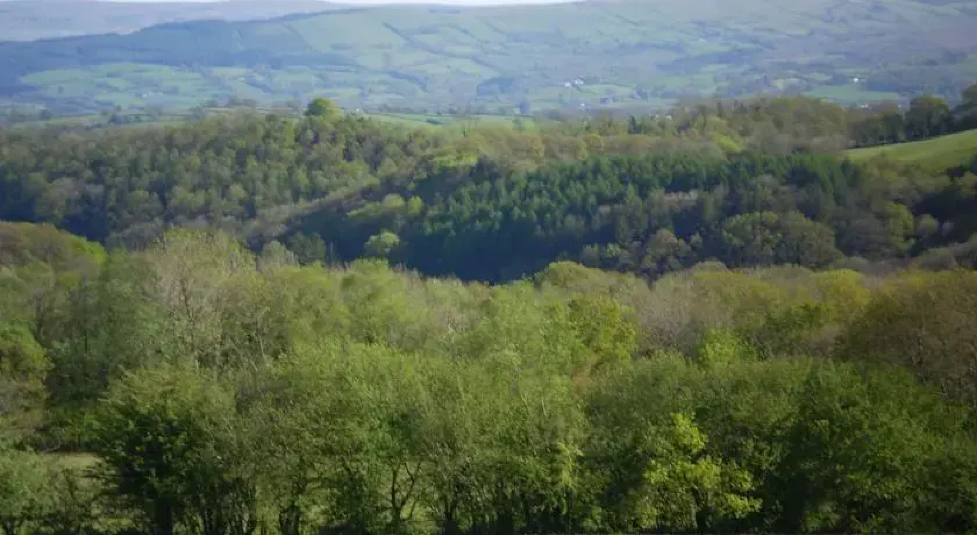 Tyllwyd Hir Luxury Bed and Breakfast