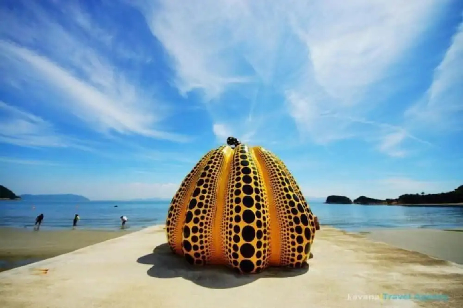 Next International Homestay