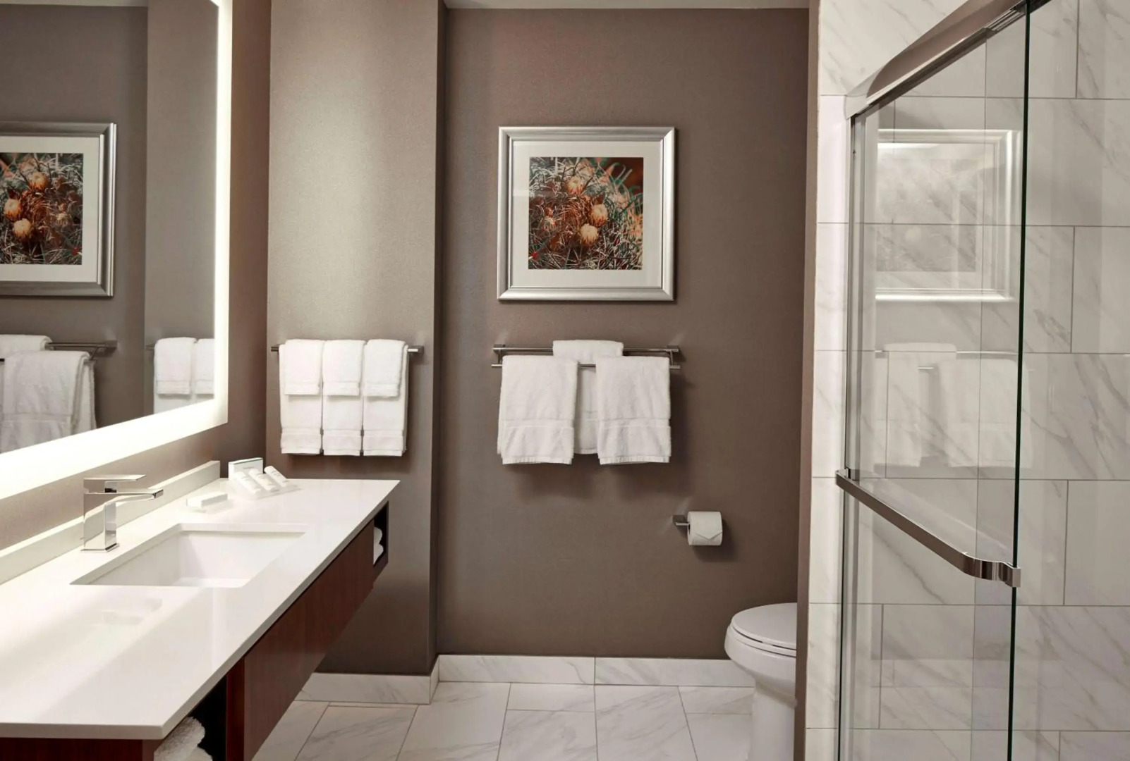 Hilton Garden Inn Phoenix Downtown