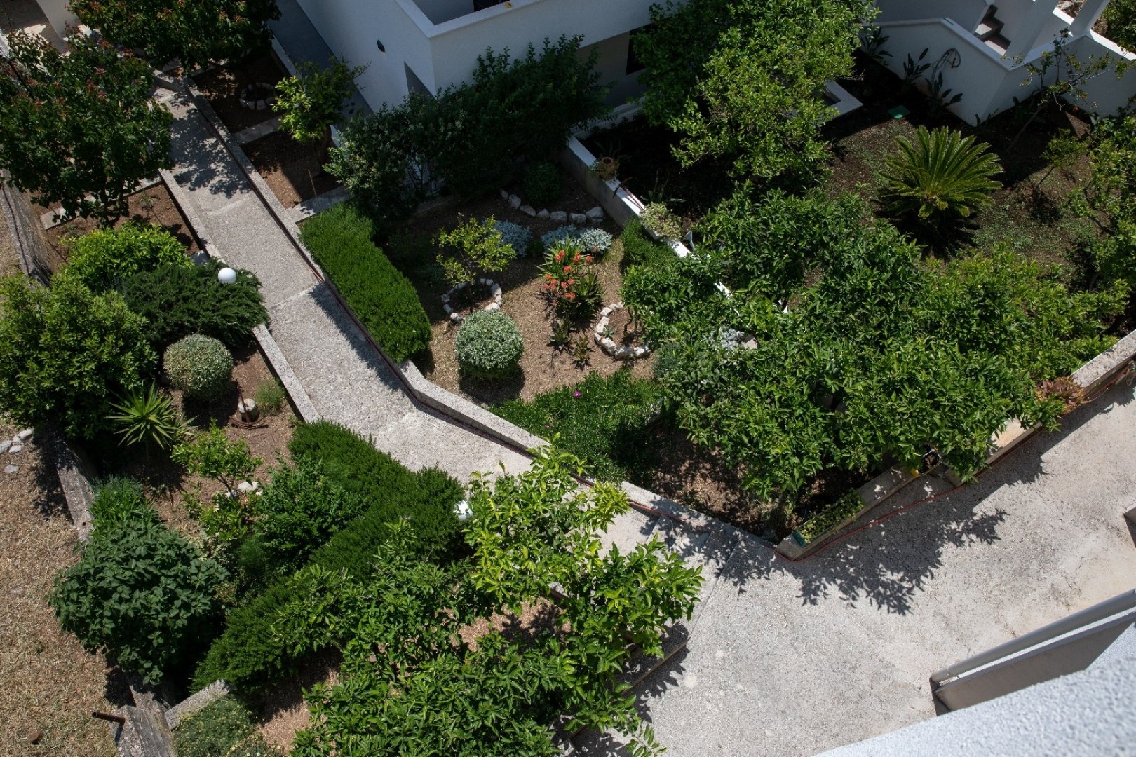 Apartment Ruzica - with sea view: A1 - plavi Igrane, Riviera Makarska