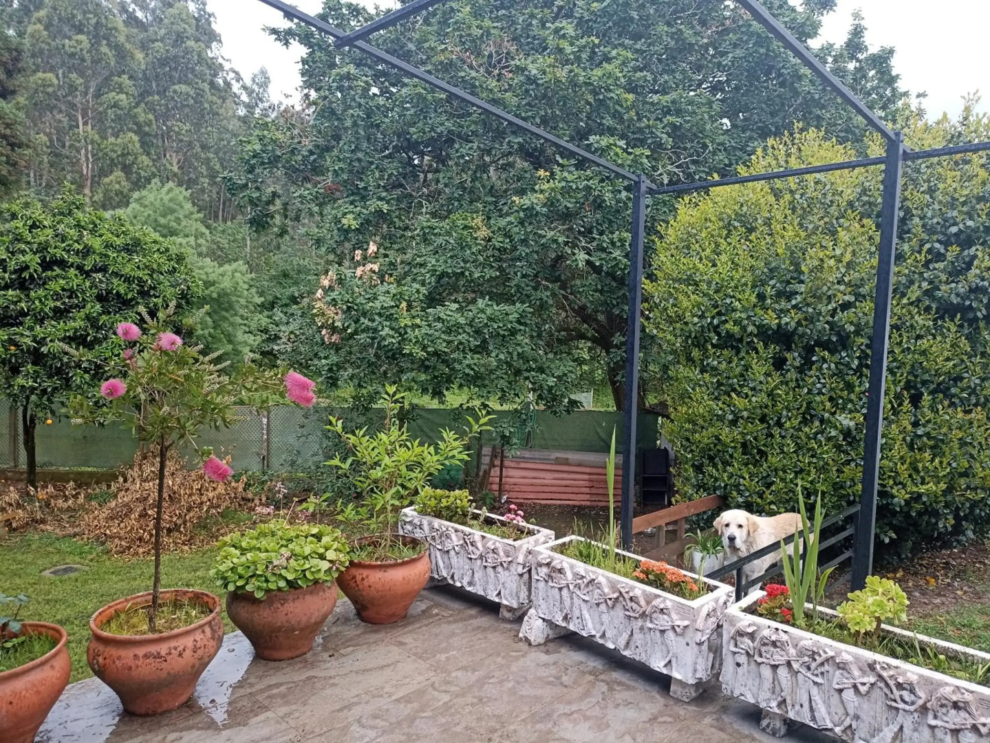 Cabana Monte do Castro