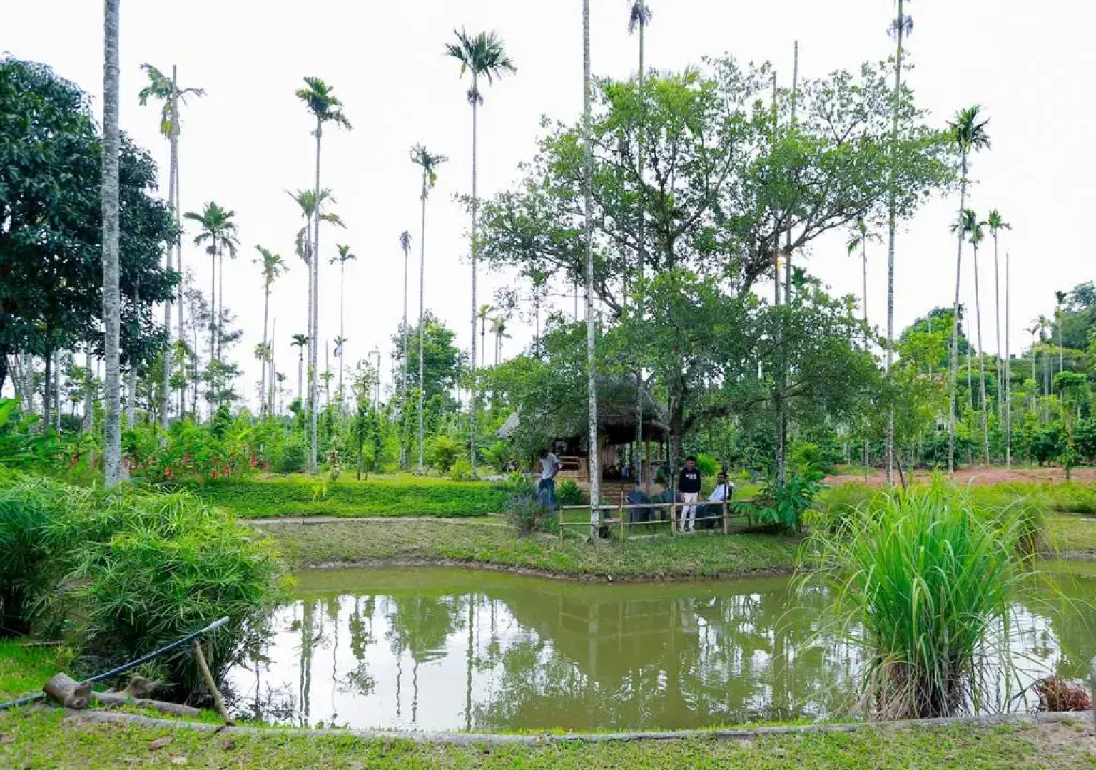 OYO Premium Hill Stays Kolagappara