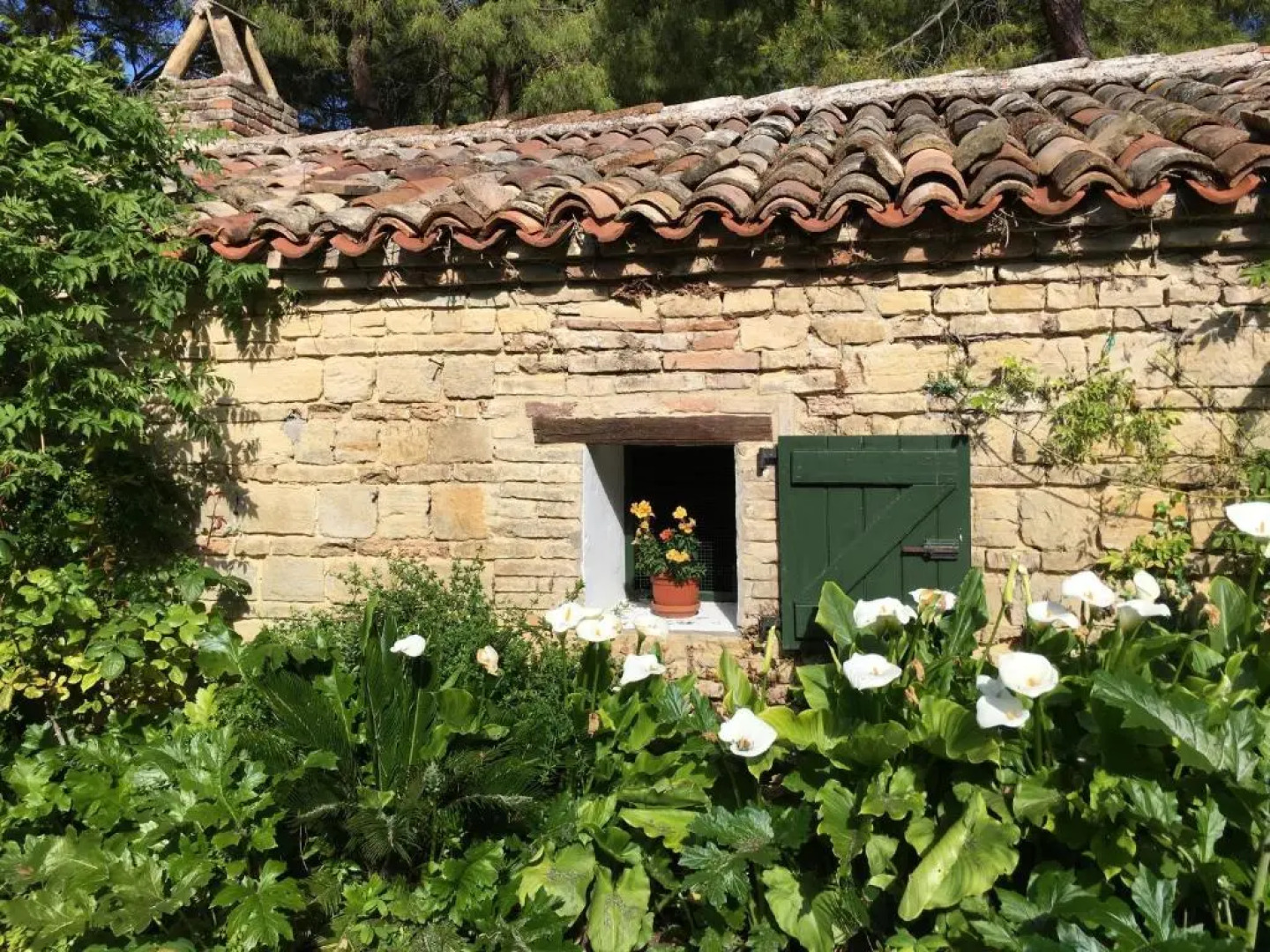 Il Colle delle Terrazze