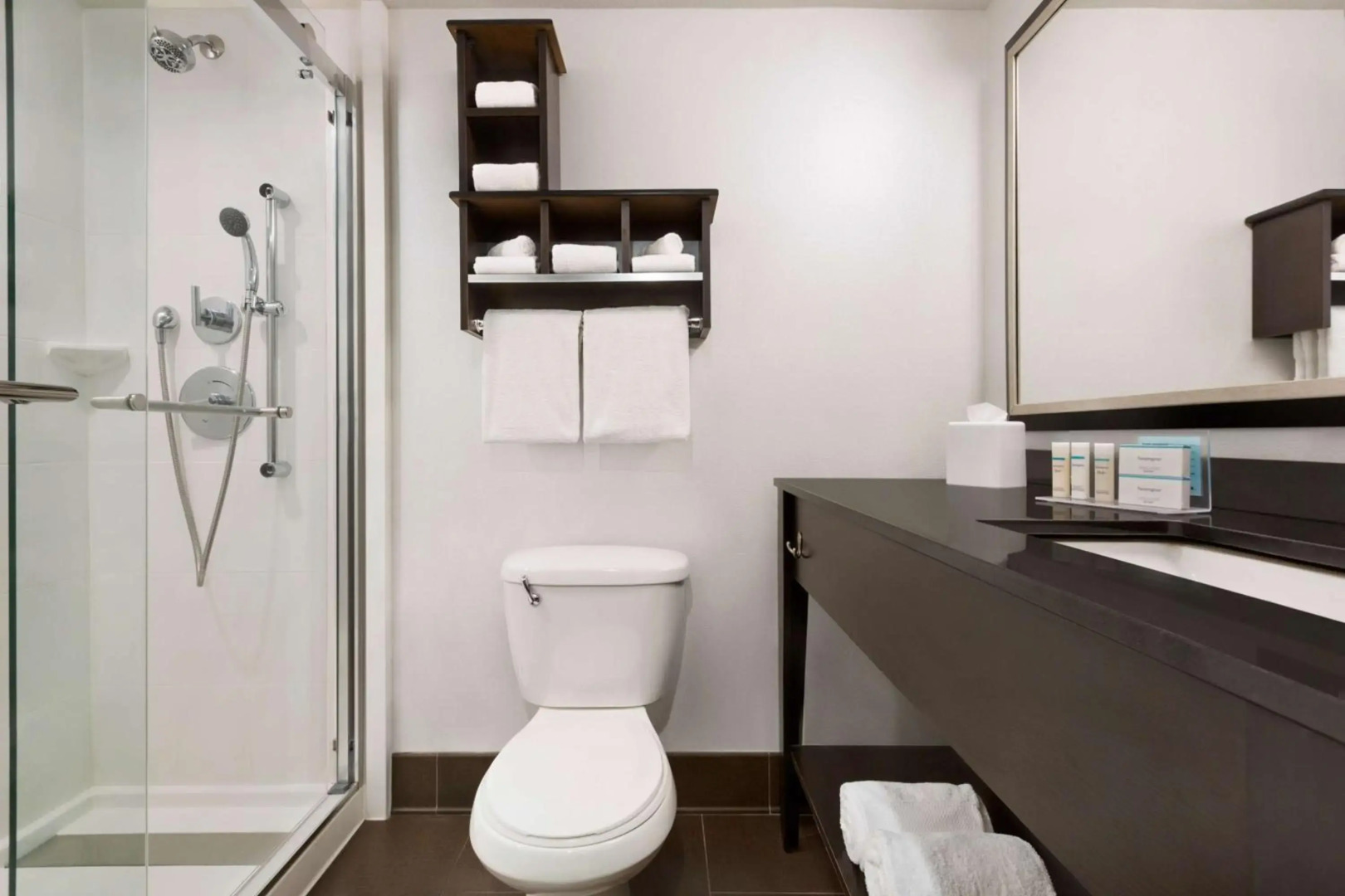 Hampton Inn-Denver West/Golden