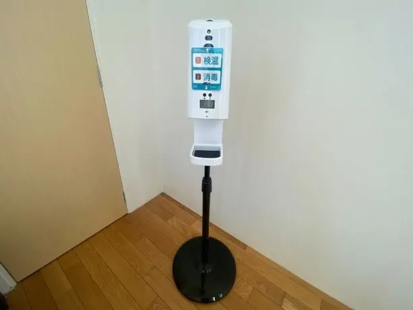 Rizozaizen Motobu C