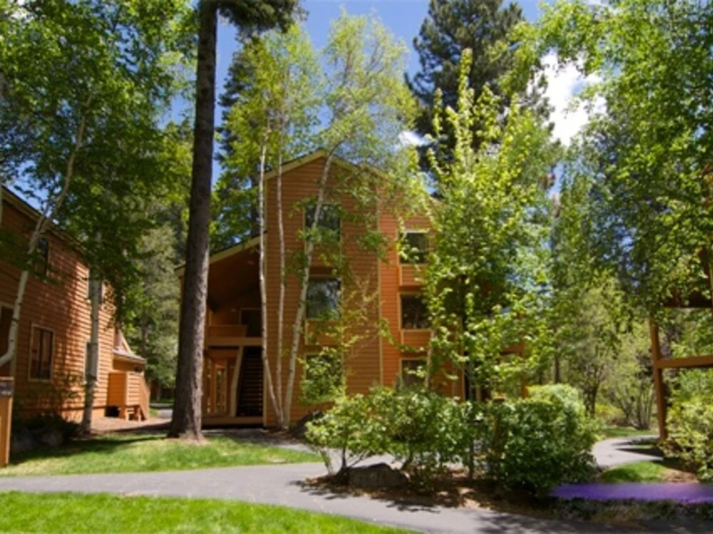 Premium McCloud Condo