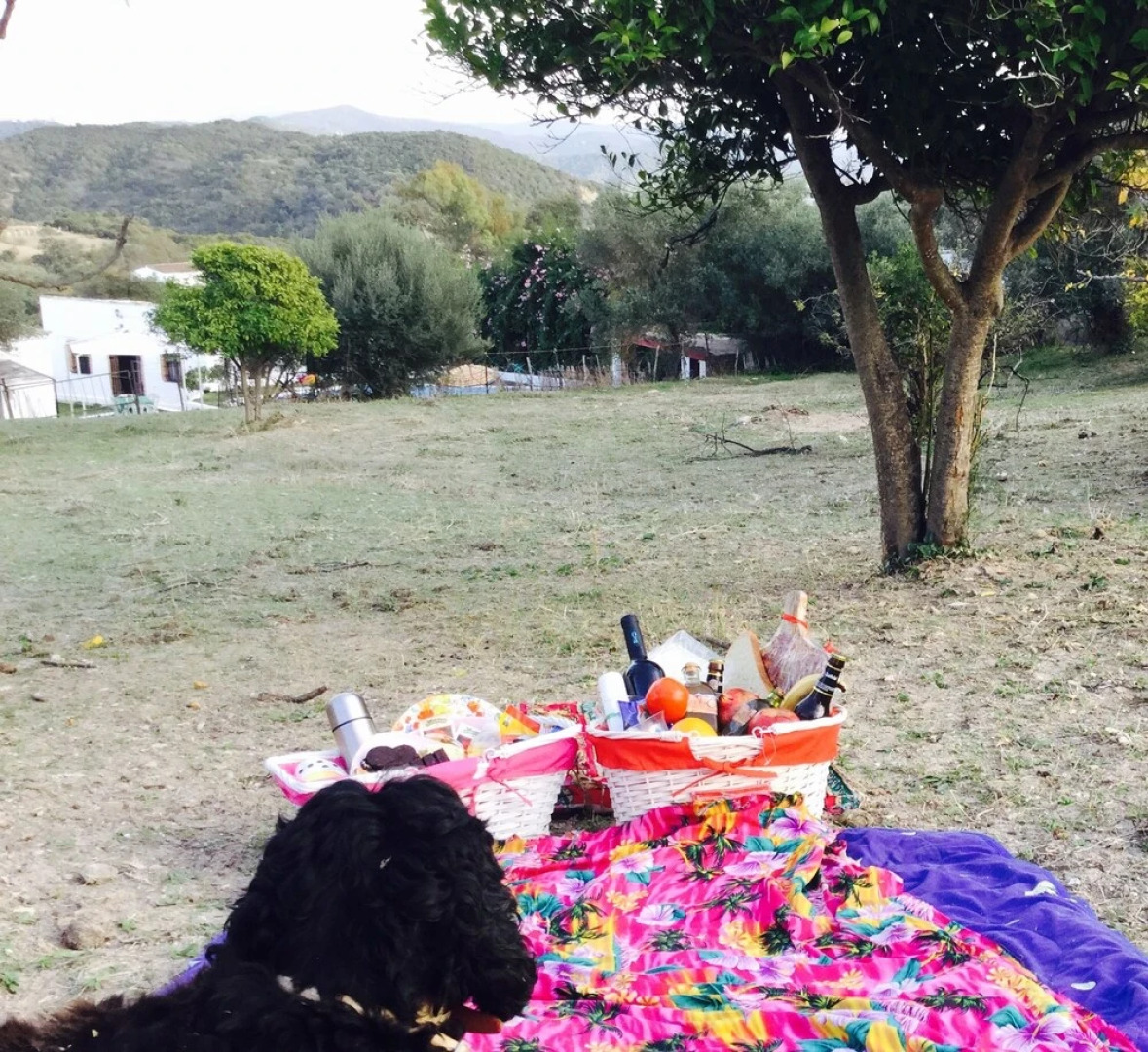 Cottage Cuernavaca Ranch