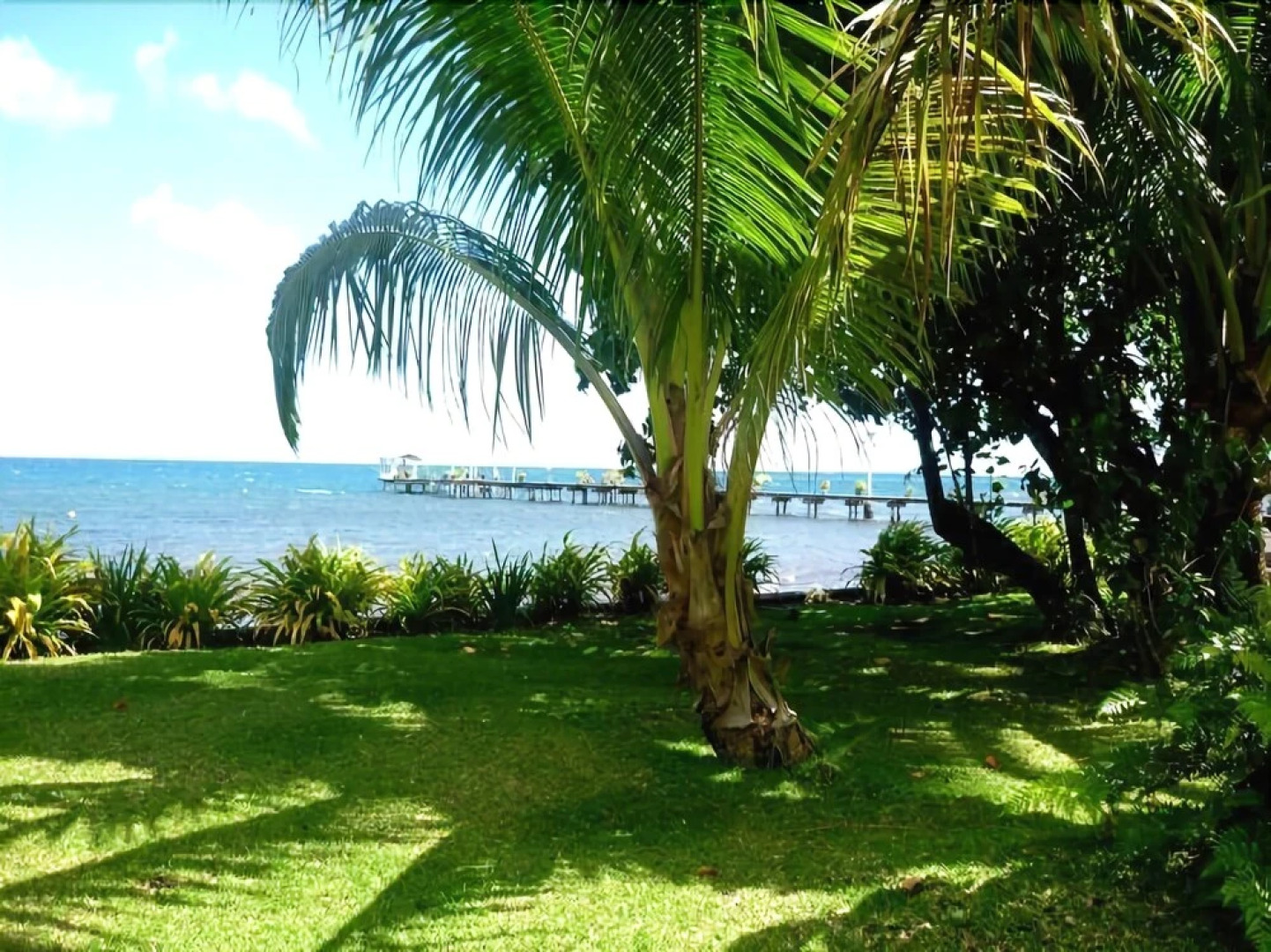 Bonjouir Lodge Paradise