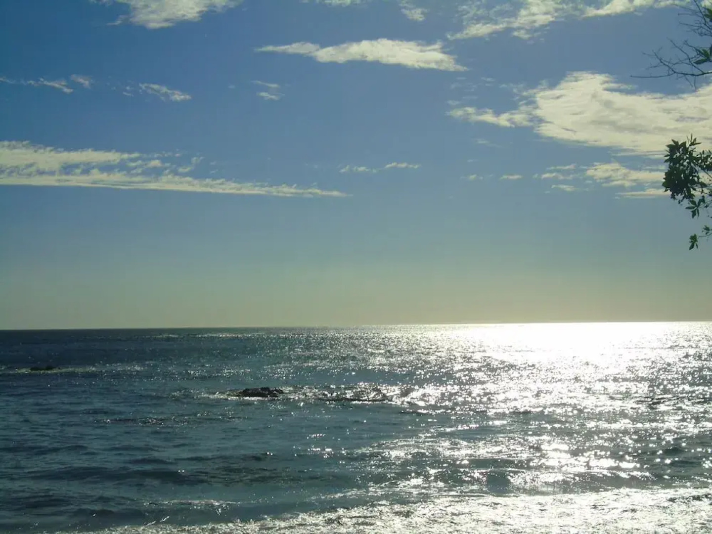 You Imagine Costa Rica Our Location Being on the Beach is What You Imagine