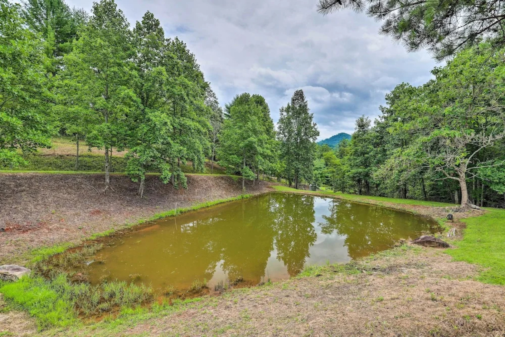 BBQ Deck + Views: 'sweet Suite' in Leicester