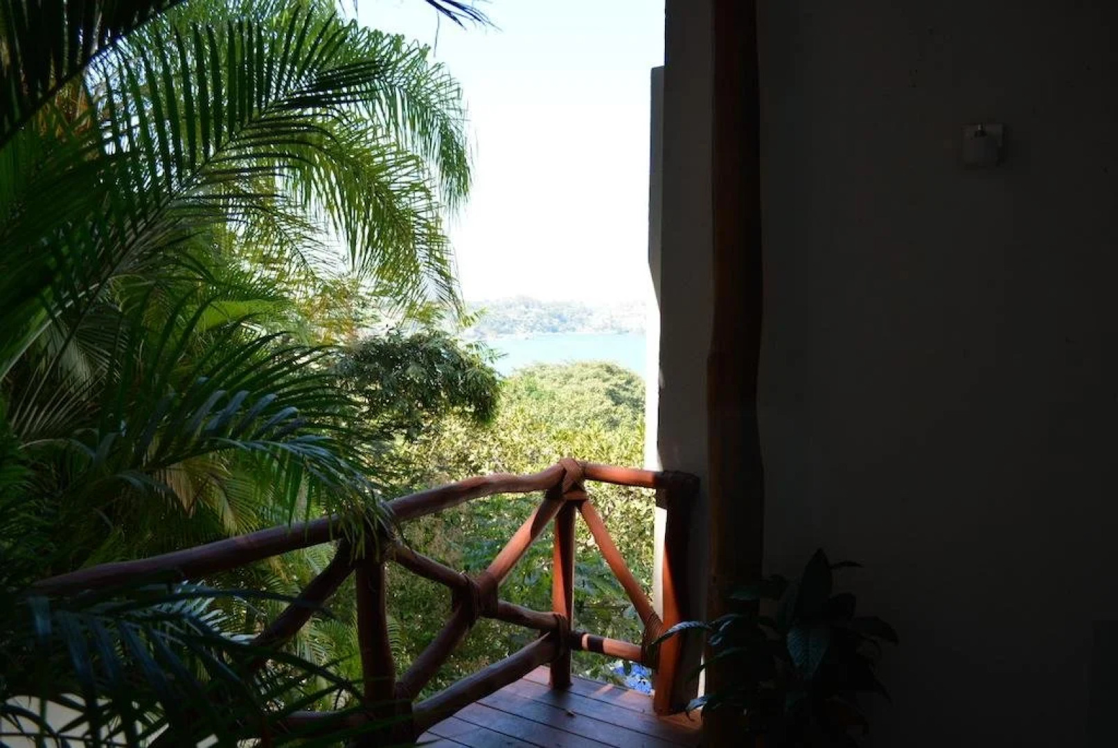 Pajaro de Fuego, Chelsea's Luxury Units