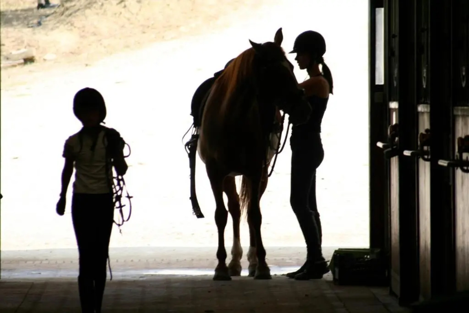 Farmhouse B&B Il Paretaio