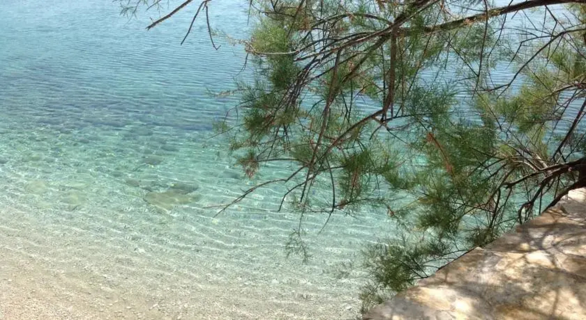 Apartment Beach House