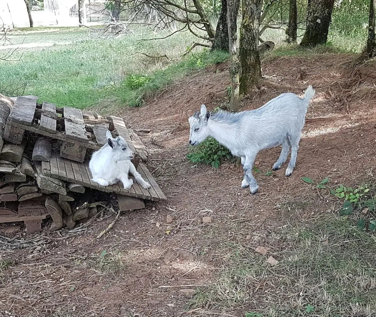 Au Tour De L'Aveyron