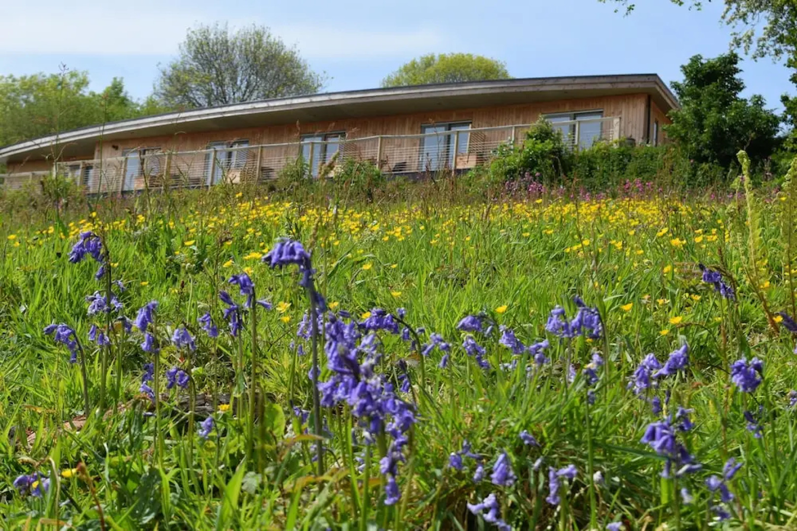 The Sanctuary Cornwall