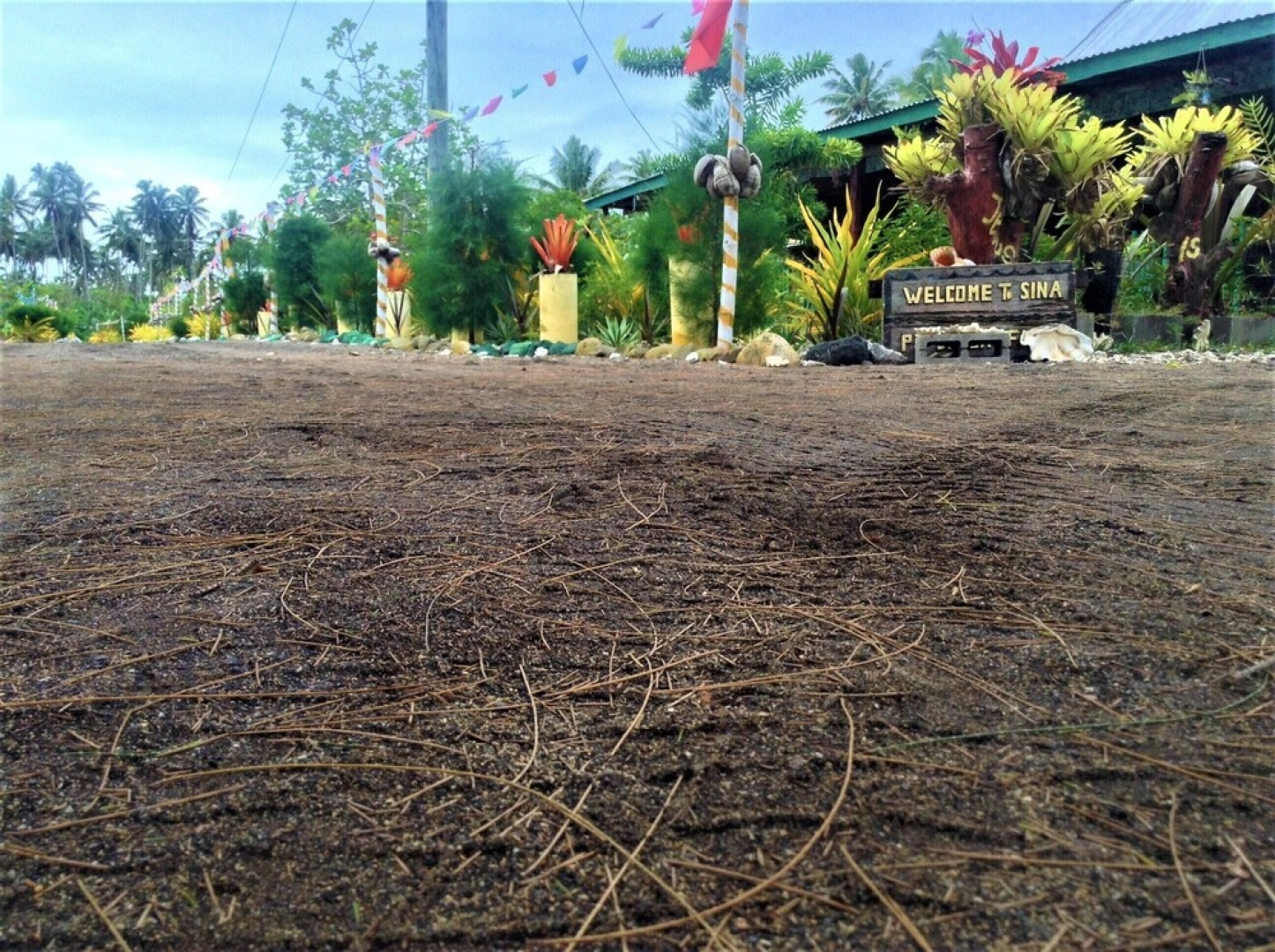 Sina PJ Beach Fales and Surf