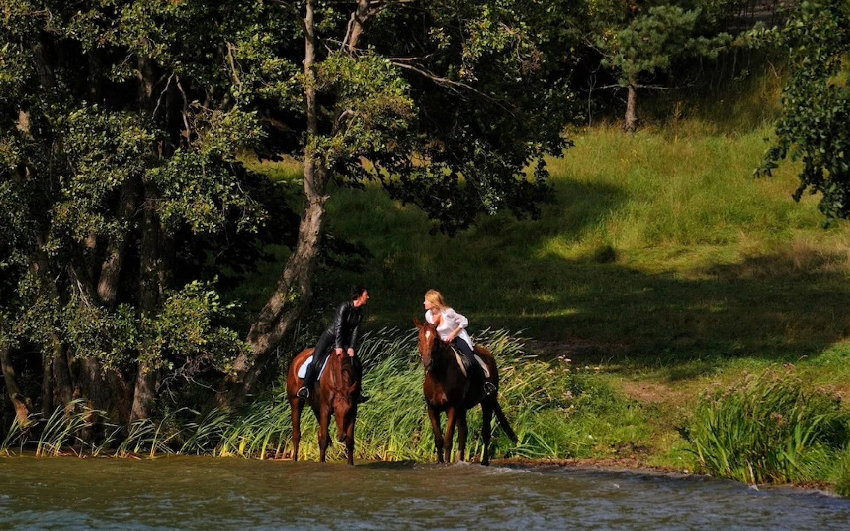 Stary Młyn Strzeszyn