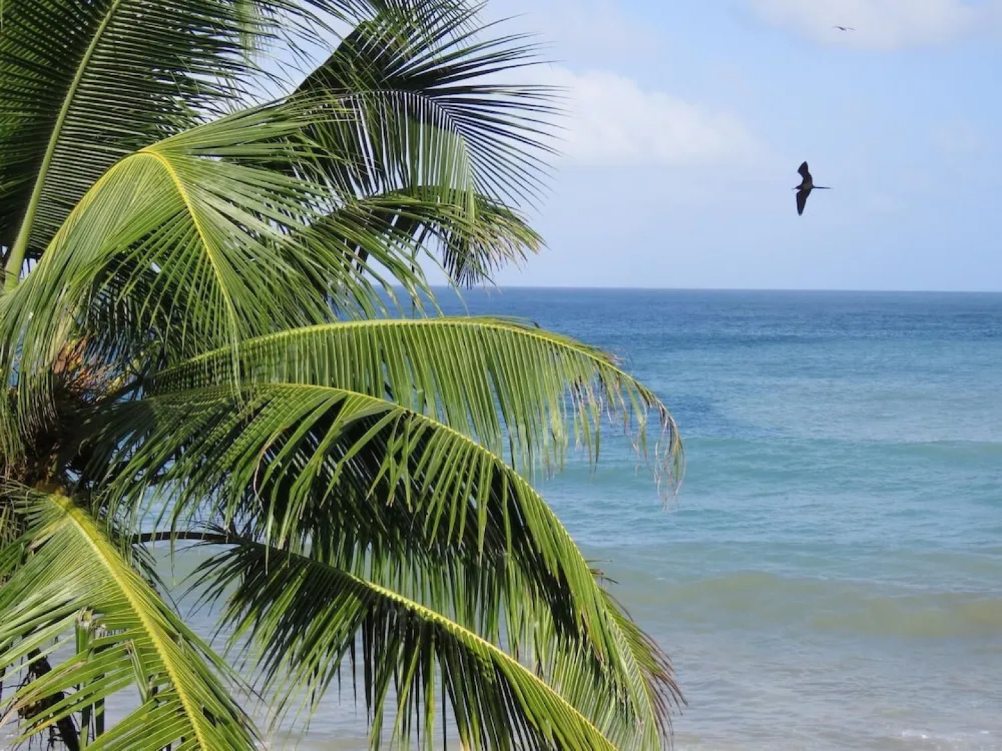 Hotel Las Mananitas Capurgana