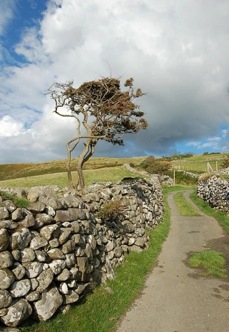 Salt Marsh Apartment