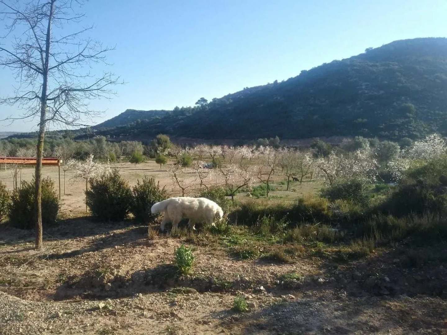 Espai Natural La Comanglora