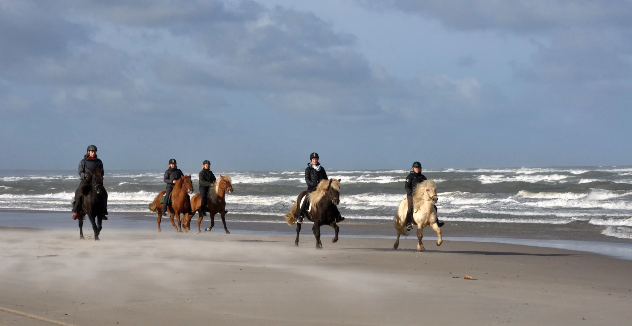 Stald Nordkap Farm Holiday