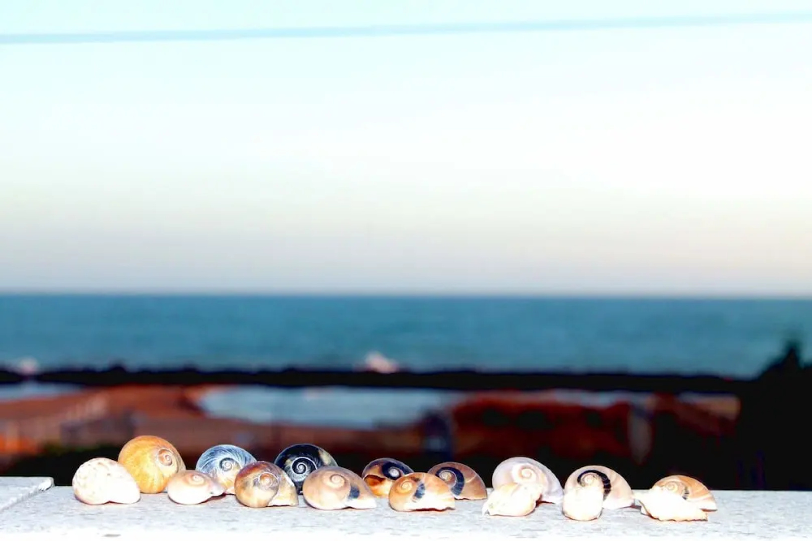 B&B Nettuno