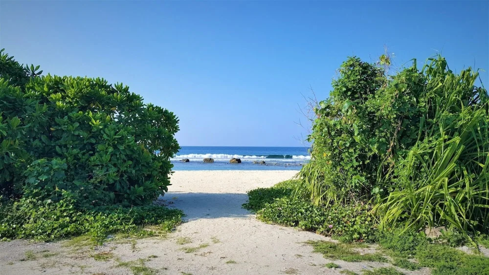 Explore Island Inn