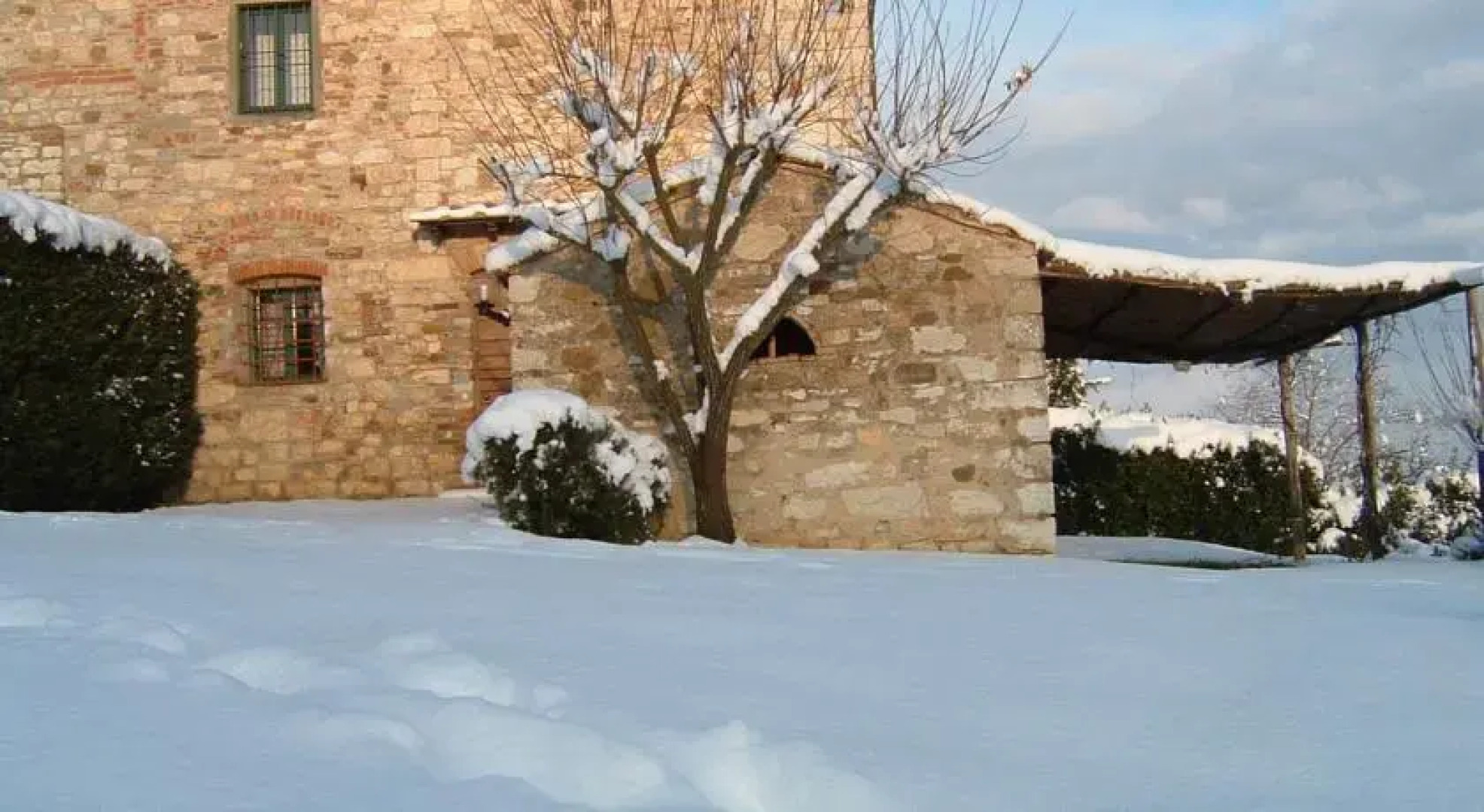 Azienda Agricola Masseto