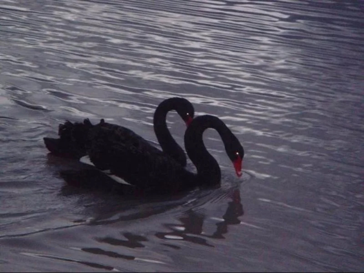 Eleven From The Left