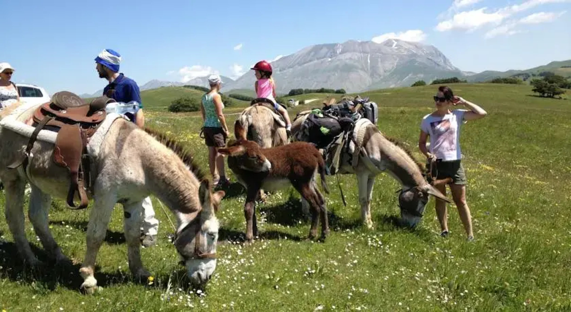 Rifugio Colle Le Cese
