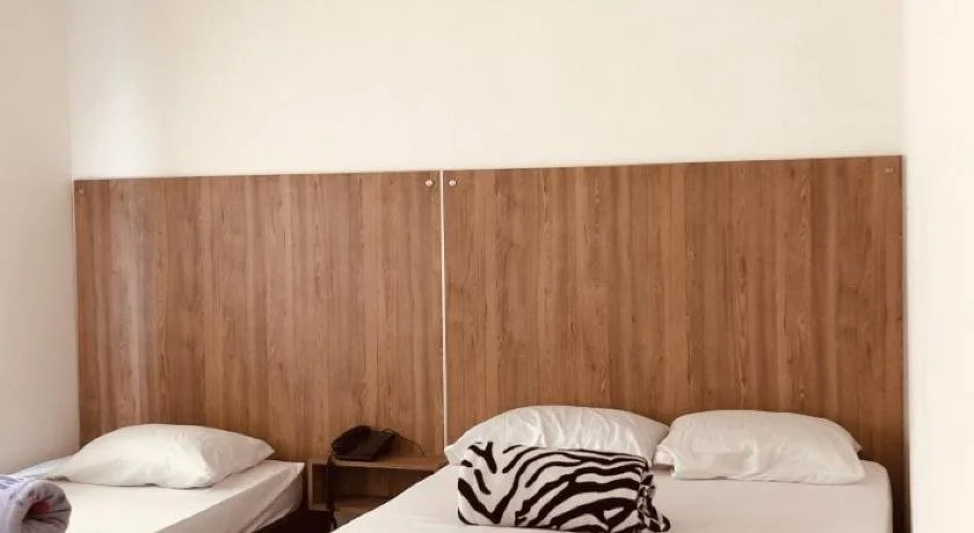 Hotel Center Plaza Plus