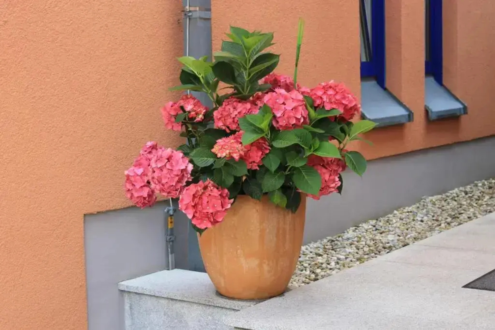 Ambassador Apparthotel