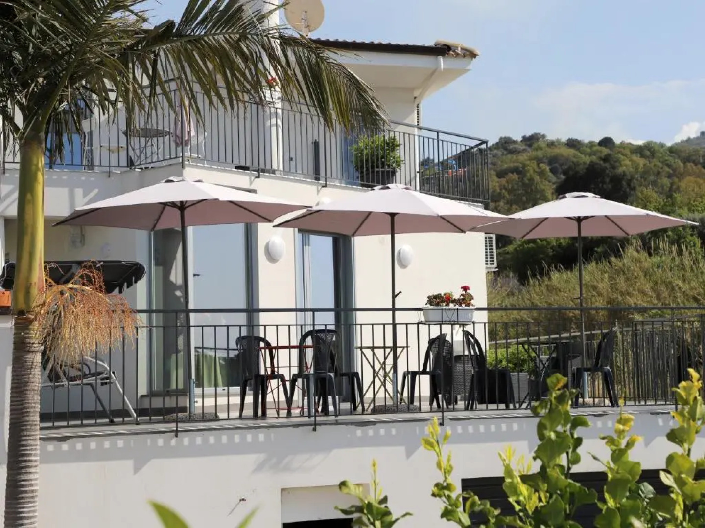 Assabinirica (Adults Only)