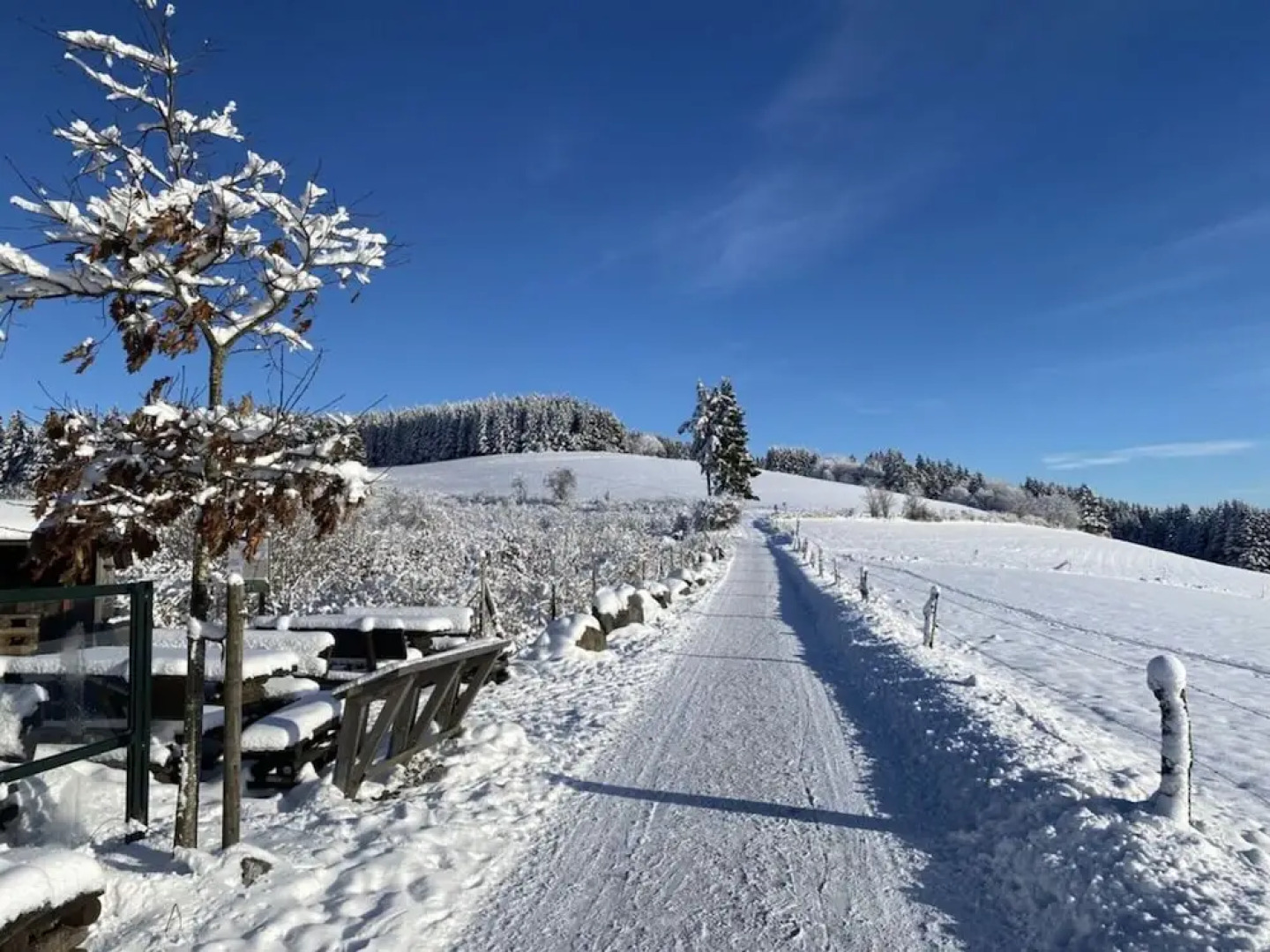 Attractive Apartment in Diemelsee