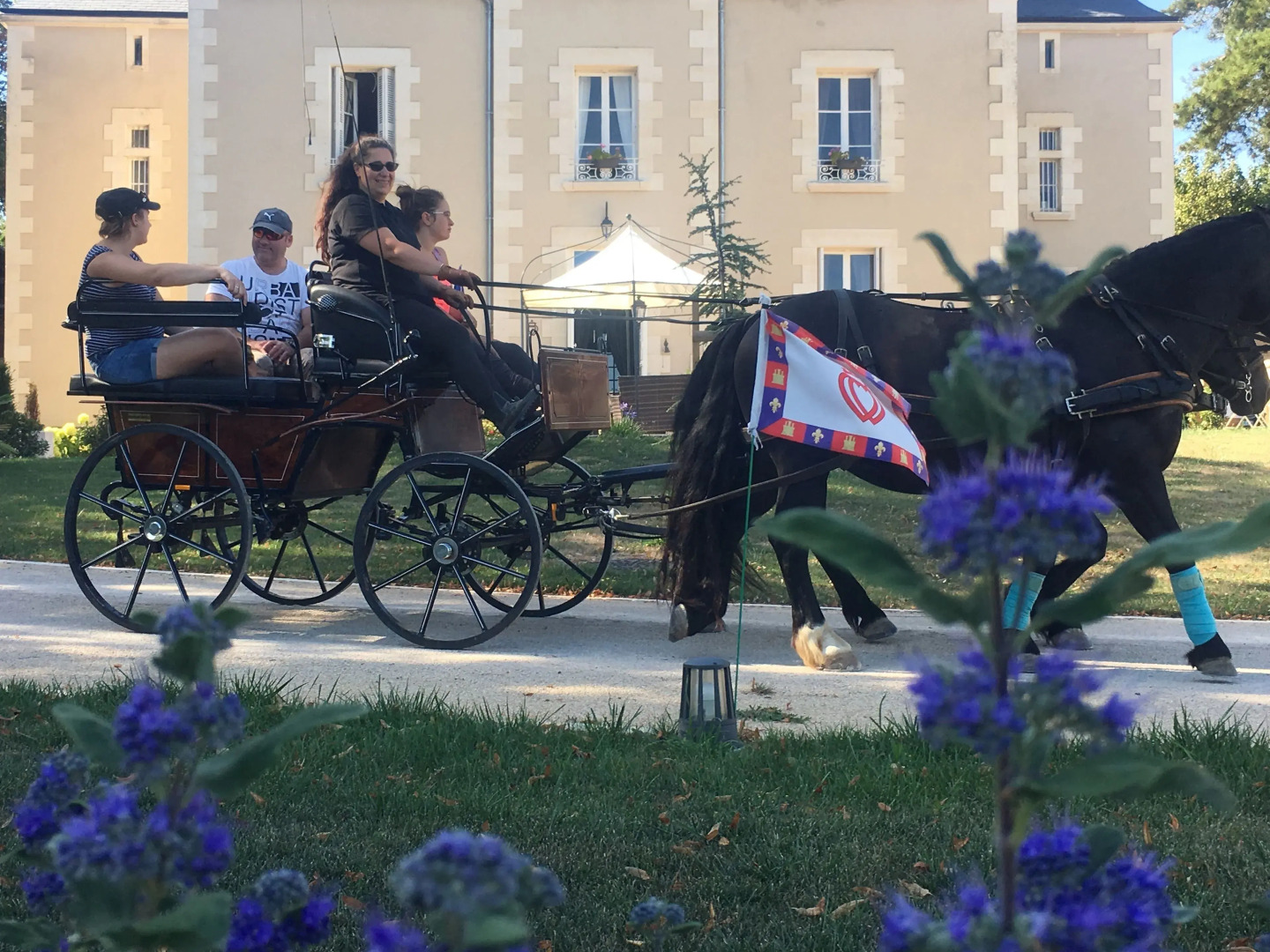 Le Petit Chateau Des Cedres