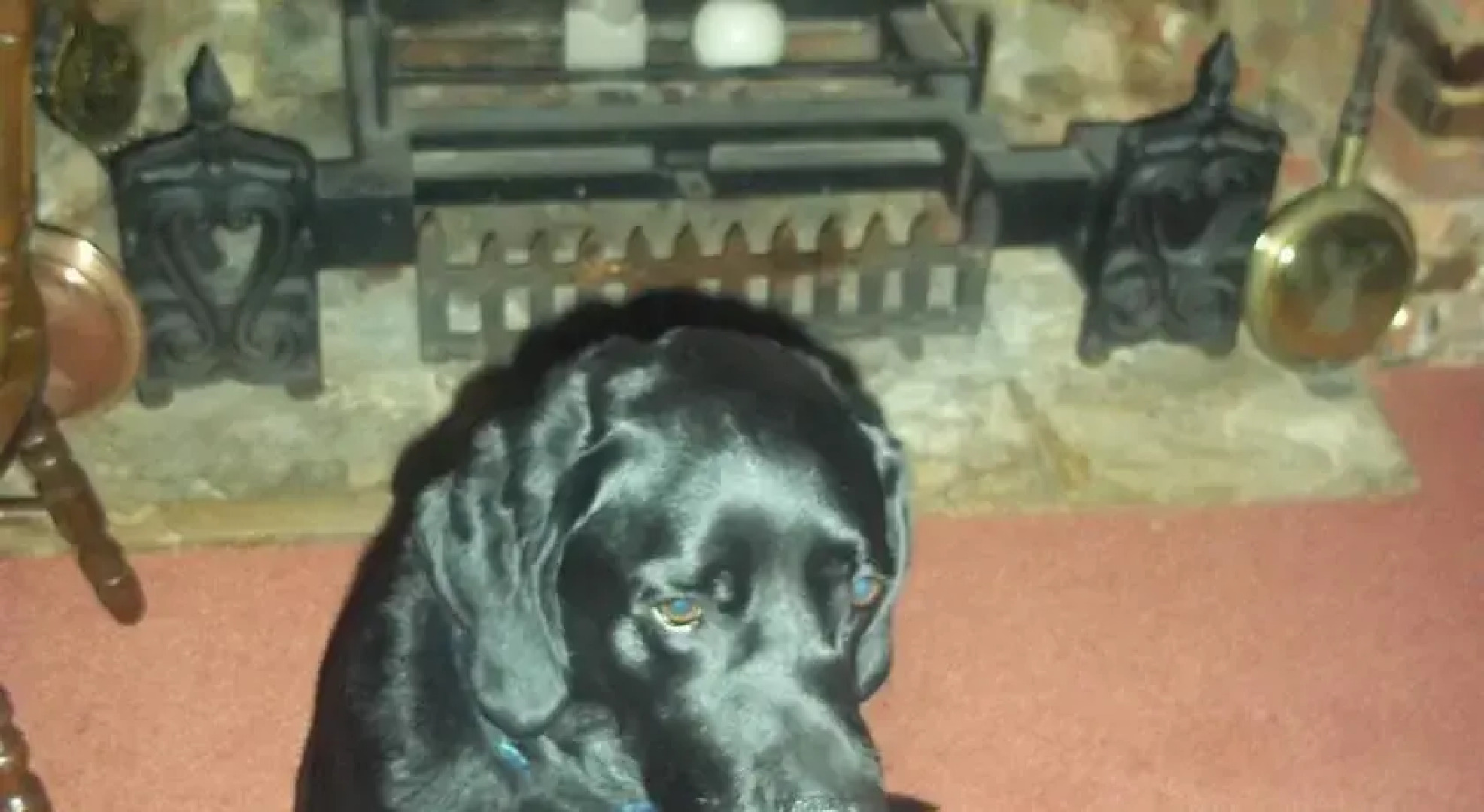 The White Hart Hotel