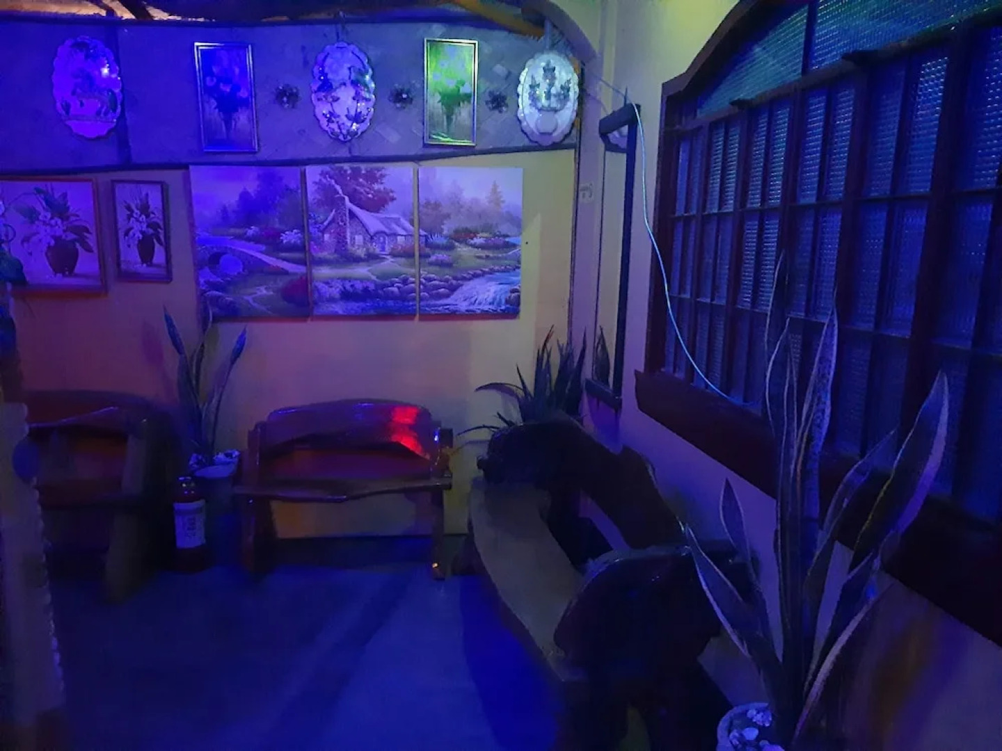 Carribean Transient House