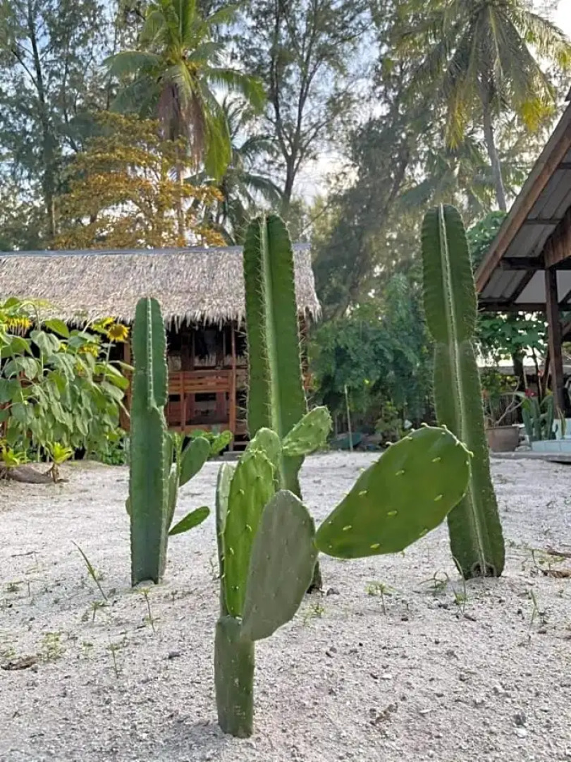 The Hideaway Koh Lipe
