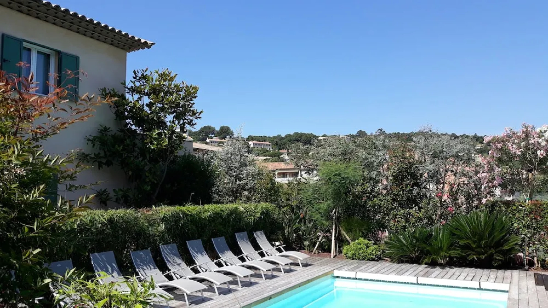 Les Camelias de Julienne