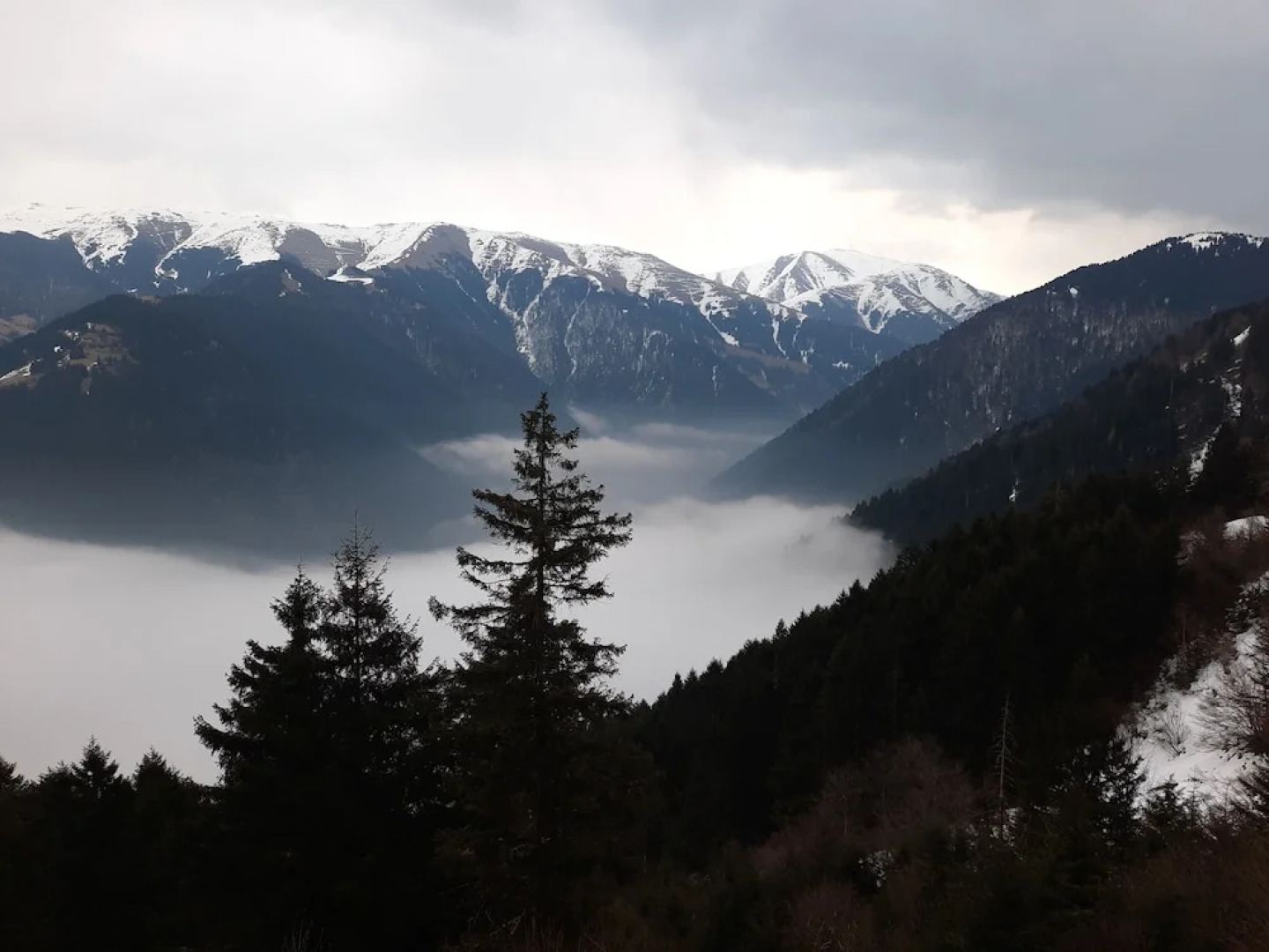 Uzungol Yesil Kosk Hotel